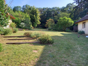 Photo de galerie - Tonte de pelouse - Débroussaillage