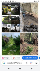 Photo de galerie - Enlèvement pavé paris et pose chappe en béton et enlèvement de haie de thuyas