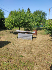 Photo de galerie - Débroussaillage 
