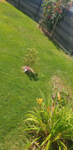 Photo de galerie - Après 