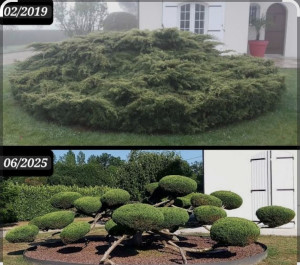 Photo de galerie - Entretien d'espaces verts 