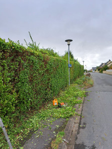 Photo de galerie - Taille de haies et d'arbustes