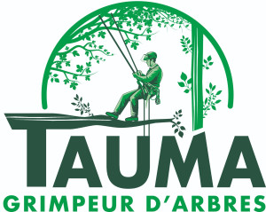 Photo de galerie - Grimpeur d'arbres