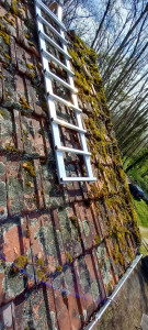 Photo de galerie - Couverture - Toiture