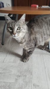 Photo de galerie - Son frère veut aussi des câlins lol