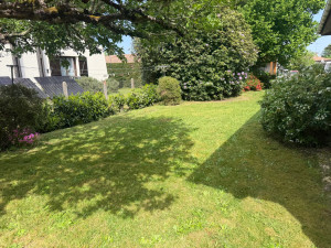 Photo de galerie - Tonte pelouse 