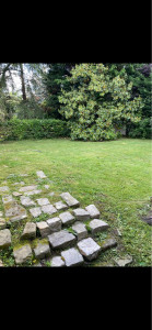 Photo de galerie - Tonte de pelouse - Débroussaillage