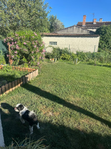 Photo de galerie - Flag au jardin ☺️