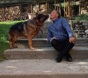 Photo de galerie - Garde chien