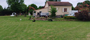 Photo de galerie - Tonte + bordure 