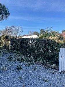 Photo de galerie - Après travaux taille de haies 