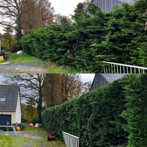 Photo de galerie - Taillage de haie et débroussaillage de terrain à l’arrière 