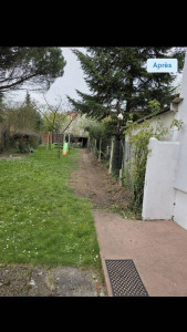 Photo de galerie - Elagage et coupe d'arbres