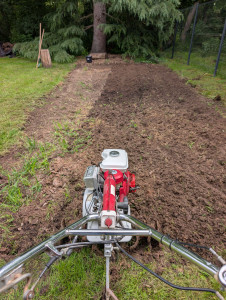Photo de galerie - Paysagiste - Aménagement du jardin