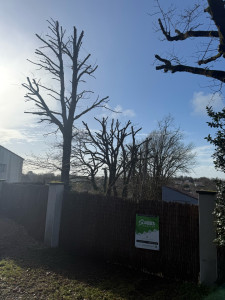 Photo de galerie - Intervention avec nacelle 