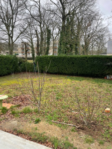 Photo de galerie - Taille de la haie d’un client très gentil