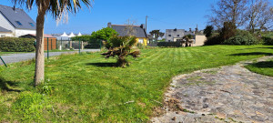 Photo de galerie - Tonte pelouse 