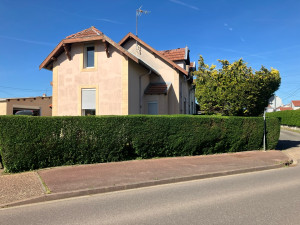 Photo de galerie - Taille de haies et d'arbustes