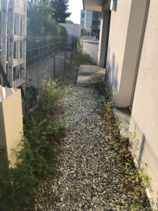 Photo de galerie - Désherbeur mécanique