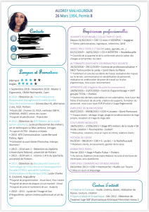 Photo de galerie - Création CV