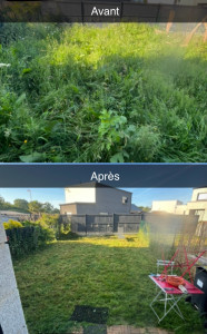 Photo de galerie - Tonte de pelouse - Débroussaillage