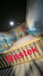 Photo de galerie - Salle fini avec tikky poser panier poser barrière plancher 