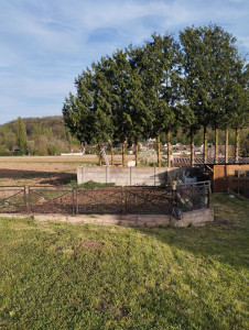 Photo de galerie - Potager motoculté