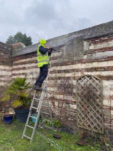 Photo de galerie - Paysagiste - Aménagement du jardin