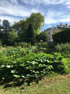 Photo de galerie - Aperçu du jardin du parc du château de Voltaire sur lequel je suis coordinatrice et jardinier 