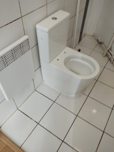 Photo de galerie - Pose de wc