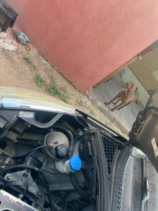 Photo de galerie - Joint du culasse sur une Citroën c3 : cause durite percé. le pit-bull en face c est pas une option 