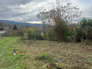 Photo de galerie - Débroussaillage et abattage champs de ronces