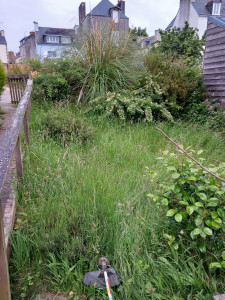 Photo de galerie - Avant