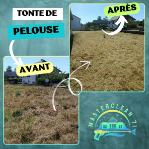 Photo de galerie - Tonte de pelouse - Débroussaillage