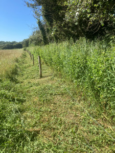 Photo de galerie - Débroussaillage sous clôtures