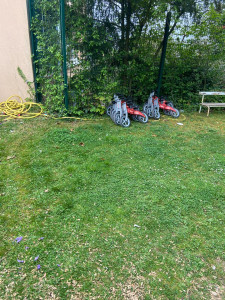 Photo de galerie - Tonte de pelouse - Débroussaillage