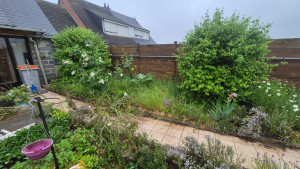Photo de galerie - Renovation jardin dompierre