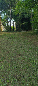 Photo de galerie - Tonte de pelouse - Débroussaillage
