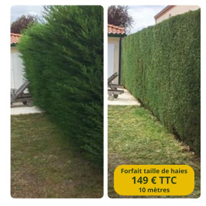 Photo de galerie - Taille de haies à Carquefou