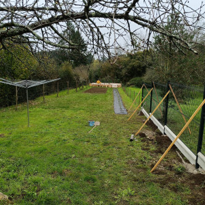 Photo de galerie - Travaux de haie et clôture 