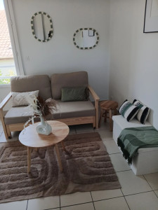 Photo de galerie - Nettoyage des Airbnb...