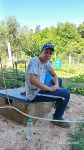 Photo de galerie - Tonte et entretien du jardin avec un rendu propre et bien structuré.
