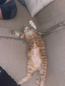 Photo de galerie - Heureux chez nous