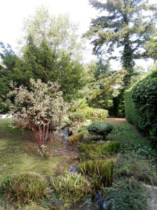 Photo de galerie - Taille d arbuste 