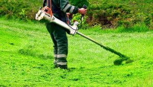 Photo de galerie - Débroussailler 