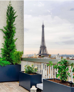 Photo de galerie - Plantation 