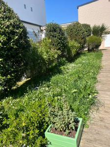 Photo de galerie - Avant Intervention 