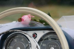 Photo de galerie - Photographe