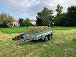 Photo de galerie - Entretien et évacuation des déchets verts 