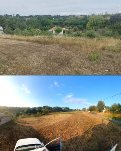 Photo de galerie - Défrichage de 750m2 de broussailles et ronciers